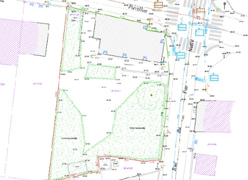 Relevés Topographique